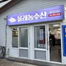 제주 미영이네 고등어회 맛집 포장 후기