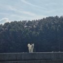 메가보트스테이 이미지