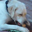 단식농장 이미지