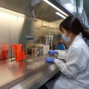 돼지학교 이미지