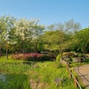 한밭수목원 이미지