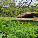 연극 모란이 피기까지 우리는 이미지