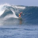 행운셀프 이미지