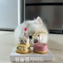 뭉탱잇 네이버블로그