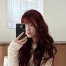 레드쿨헤어 이미지