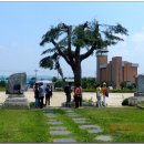 구룡초등학교 이미지