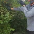 토바맑은식품 이미지