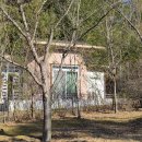 금강송통나무황토집 이미지