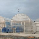 도비농장 이미지