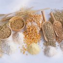 머슬피플 피트니스 이미지