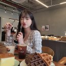 동백다방 티스토리
