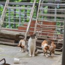 인연가셀프바베큐장 이미지