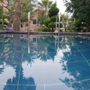 제주곶자왈별장 이미지