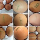 진일농장 이미지