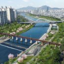 경성공인중개사사무소 이미지