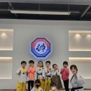 용인대 청룡 태권도 이미지