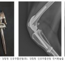 (주)비트러스트메디텍 이미지