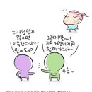 노겸
