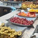 성실목장 | 그랜드 워커힐 호텔 서울 라운지 1박 2일 연말 숙박 후기 (라운지 티타임, 포레스트 파크, 더뷔페 조식)