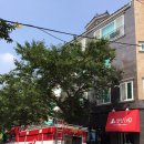 한마음펫 이미지