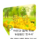 금국농장 이미지