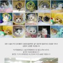 수컷고양이 중성화 수술, 용인 분당동물병원 P&amp;P