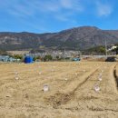 상문농장 이미지