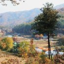산과수원민박 이미지