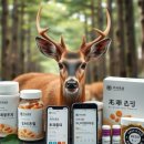 사슴약국 | 사슴태반 건강식품, 안전성 체크부터 추천 제품까지 한눈에 보기