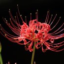 태민상사 이미지