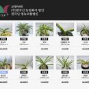 한국춘란전문난원 | 보람난원 소개 & 활용 팁