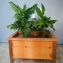 산호수농장 이미지