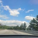 캠프 인더숲 티스토리