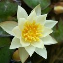 안면도농협 하나로마트 이미지