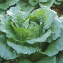 필봉농장 이미지