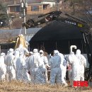 화성양계장 뉴시스