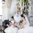 이유영 카카오 검색결과