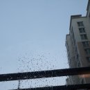 하이파크로 이미지