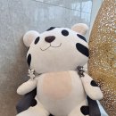 강릉곰스카이