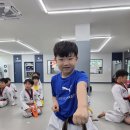 용인대홍익태권도장 네이버블로그