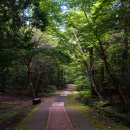 서귀포자연휴양림 이미지