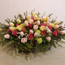 동남초등학교 병설유치원 이미지