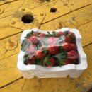 보개농협.가사동(보개하나로마트) 이미지