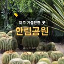 제주한림공원 가기 전 알아두면 좋은 꿀팁 후기