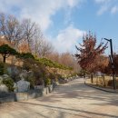 초안산 유아숲체험장 이미지