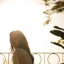 뉴스카이 이미지