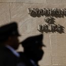 B.F boxing 이미지