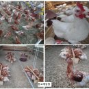 순환농장 이미지