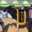 박영철목장 이미지