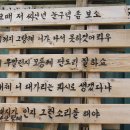 와보랑께박물관 이미지